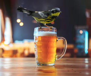 Birds_Beers