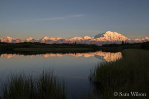 Denali National Park